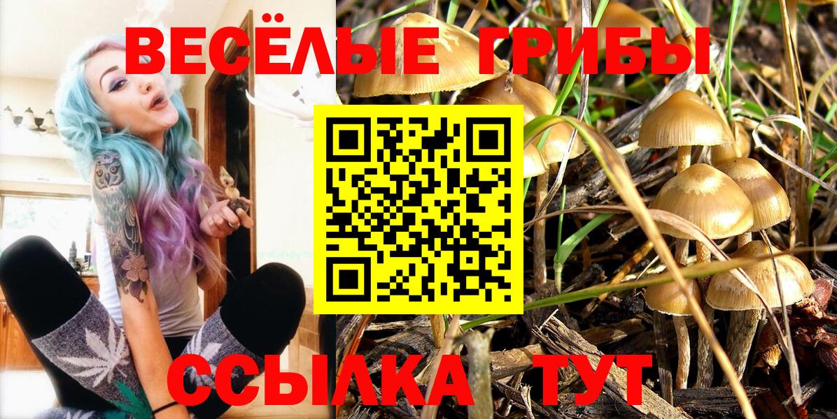 Псилоцибиновые грибы Psilocybe  Вход с VPN  Кириши  Псилоцибиновые грибы ЛСД 