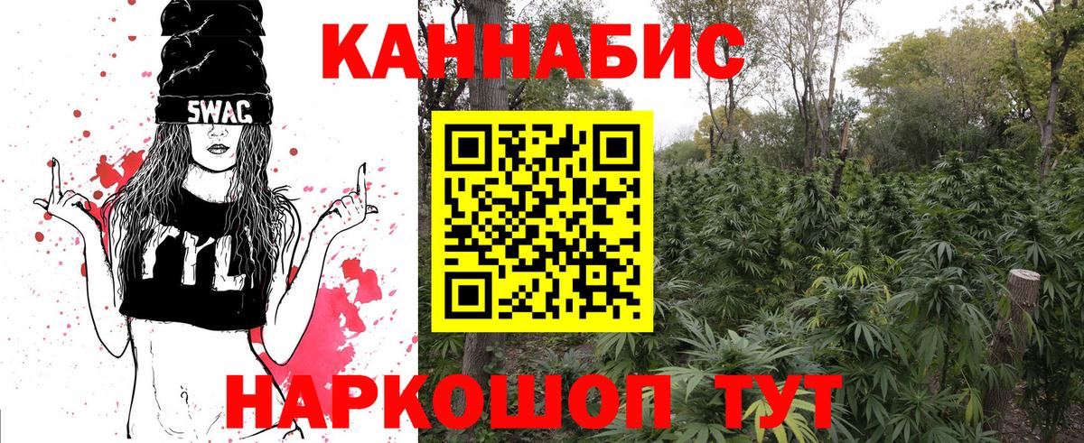 Конопля MAZAR Кириши